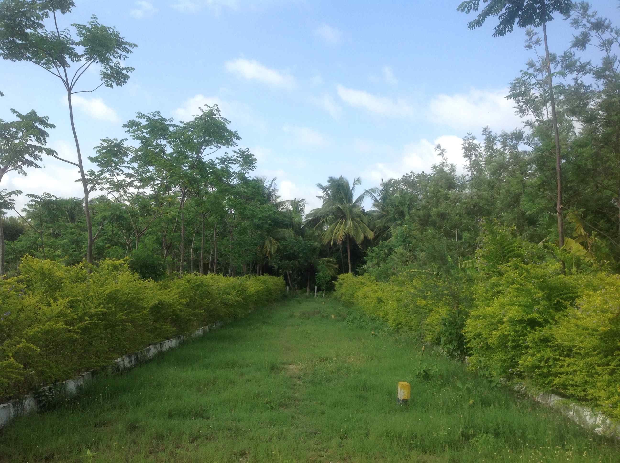 Farmland for sale-greenwoods-plantation project-land for sale near me-real estate Bangalore