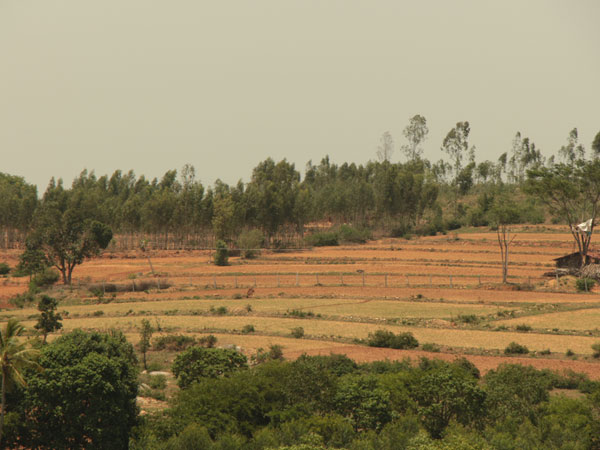 Agriculture land for sale in Bangalore-heavenly woods-real estate Bangalore